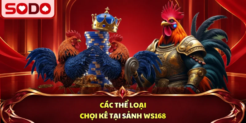 Các thể loại chọi kê tại sảnh WS168