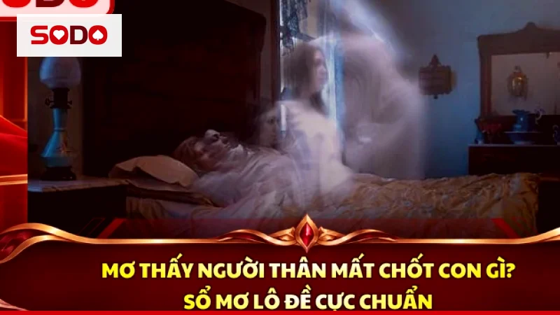 Giải mã giấc mơ thấy chó và những mối quan hệ bạn bè, người thân theo sổ mơ