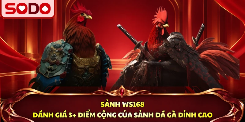 Sảnh WS168 - Đánh Giá 3+ Điểm Cộng Của Sảnh Đá Gà Đỉnh Cao