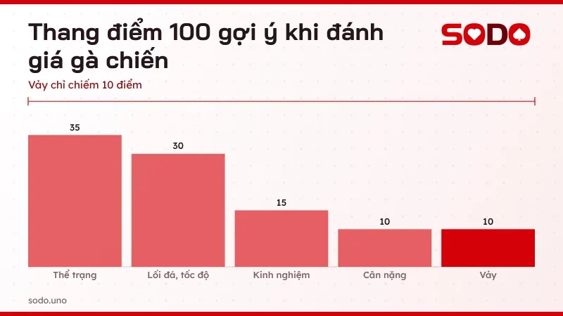 Thang điểm 100 gợi ý khi đánh giá gà chiến, vảy chỉ chiếm 10 điểm bên cạnh thể trạng và lối đá